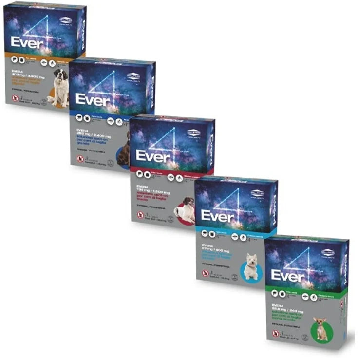 Alfamed Ever4 Spot-On pentru câini 4 pipete - XS 1,5 - 4 kg