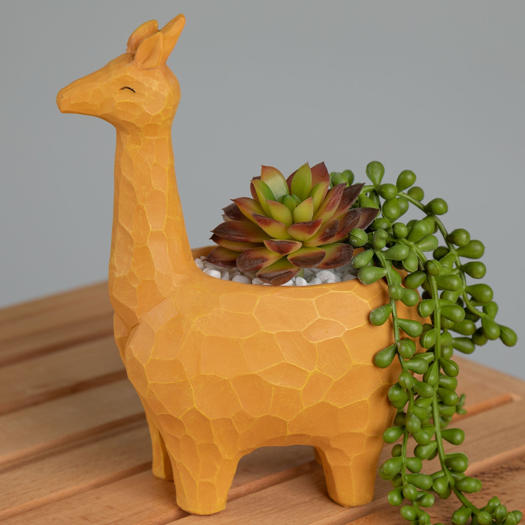Wild Kingdom Planter - Giraffe