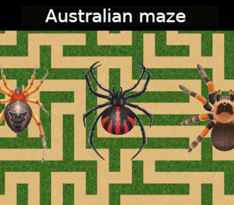 Australian maze PC Steam CD Key