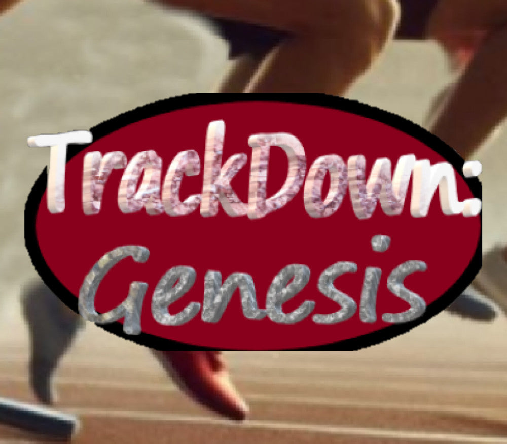 TrackDown: Genesis PC Steam CD Key