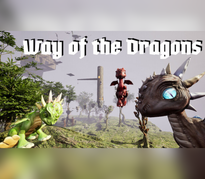 Way of the Dragons PC Steam CD Key