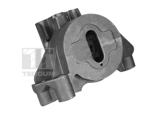 Engine Mounting TEDGUM 00219484