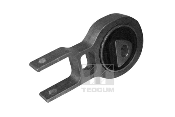 Engine Mounting TEDGUM 00219531