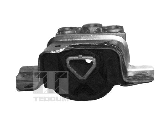 Engine Mounting TEDGUM 00219579