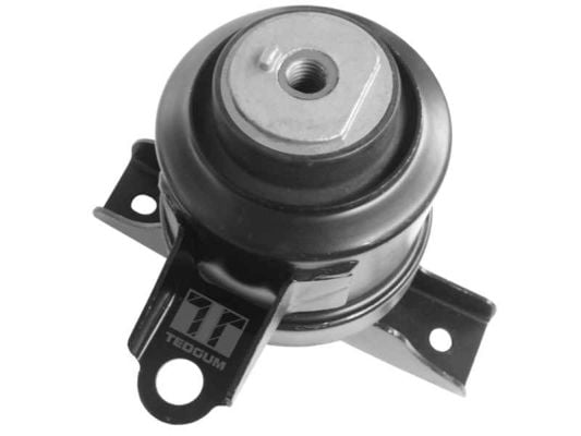 Engine Mounting TEDGUM 00393612