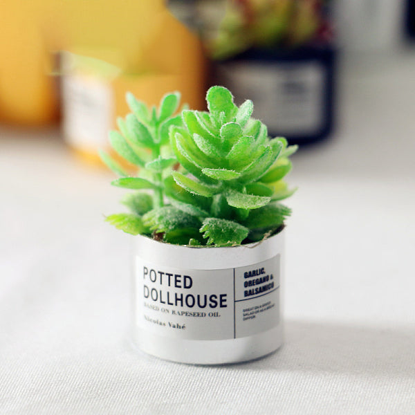 Modèle de pot de plantes succulentes en résine