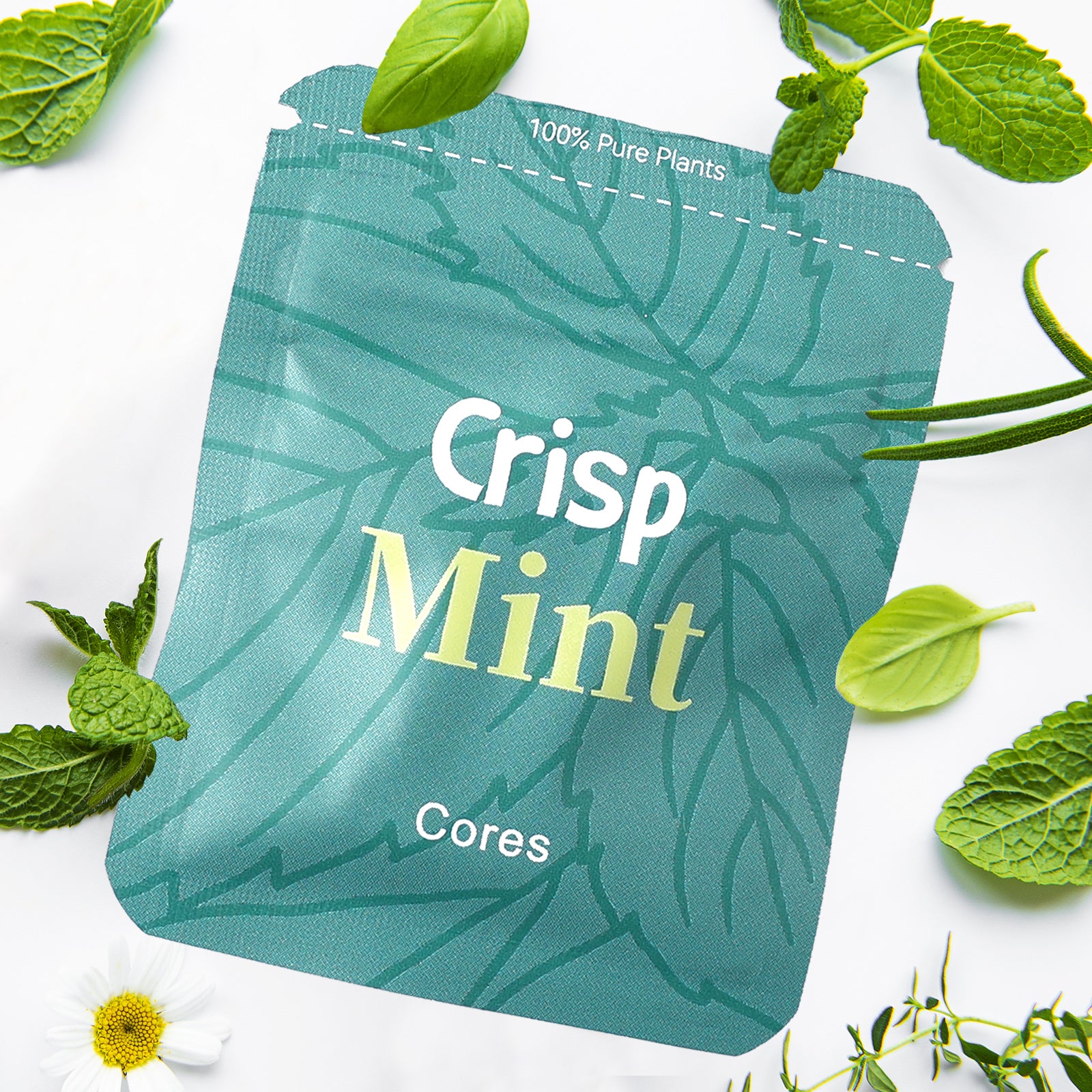 Natural Plant Cores, Extracted from Real Plants,Designed to Help Break Bad Habits,A Relaxation and Meditation Tool for Stress Relief