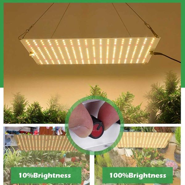 LED Growth Lamp LM281B Flower Growth Chip Full Spectrum Plant Lamp for Greenhouse Hydroponic Plant Growth Lighting M25109