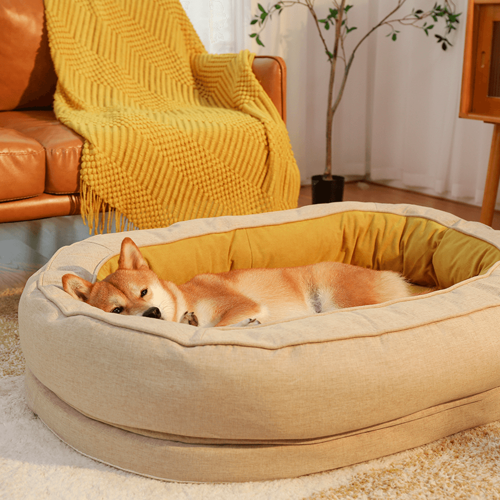 Donut Orthopedic Dog Bed, Ginkgo Yellow - M