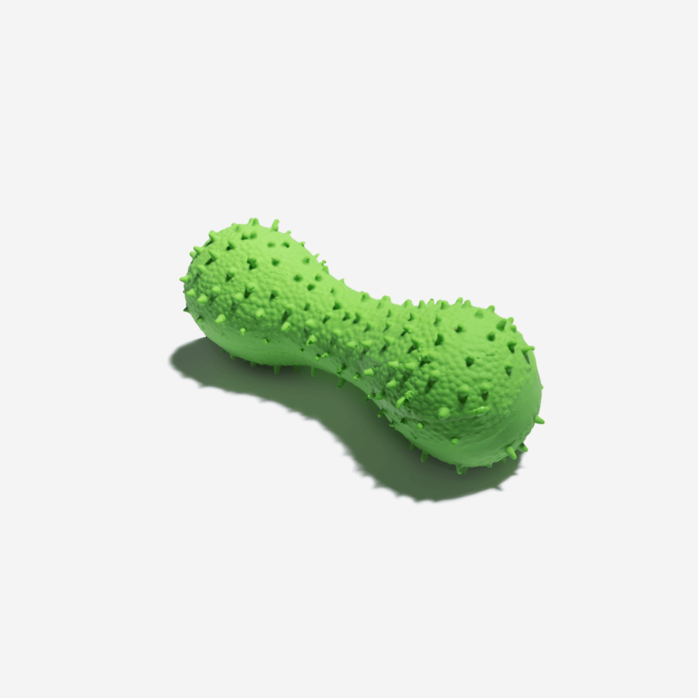 Cactus Shaped Squeaky Dog Toy, Green