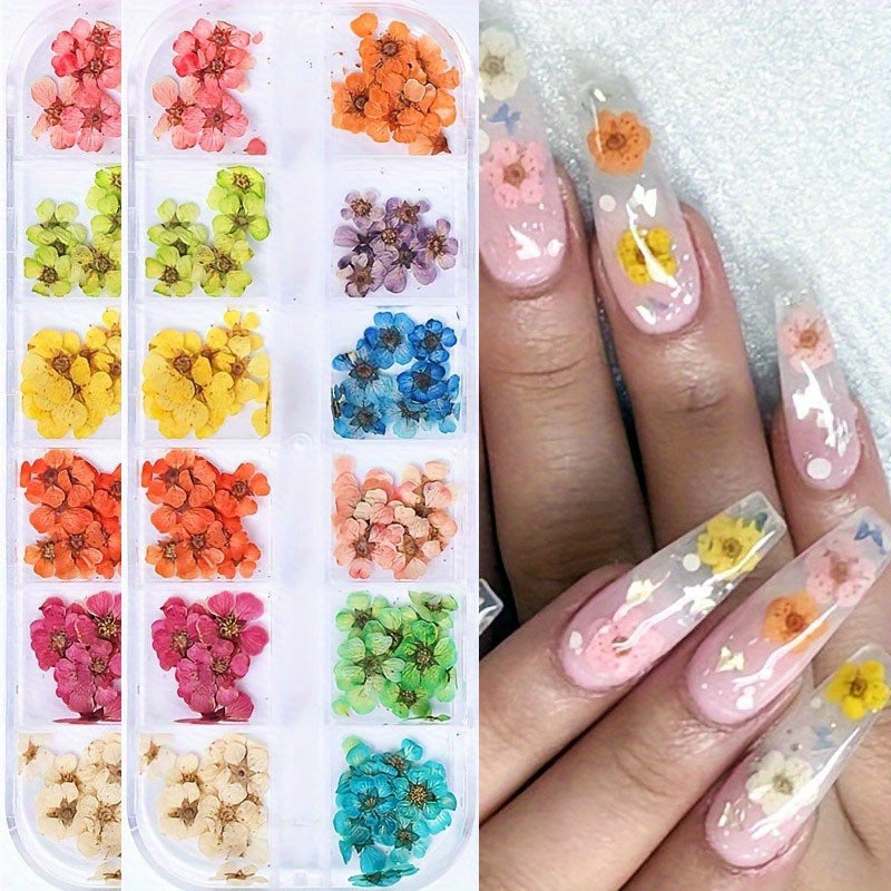 TEMU 24 Grid Box Dried Flower Nail Decorations With Glitter - Assorted Bright Colors For Diy Crafts, Nail Art, Candles, Soap Making - Japanese &