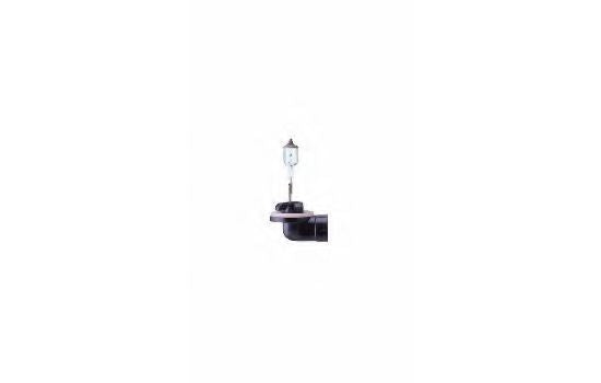Bulb, fog light NARVA 48042