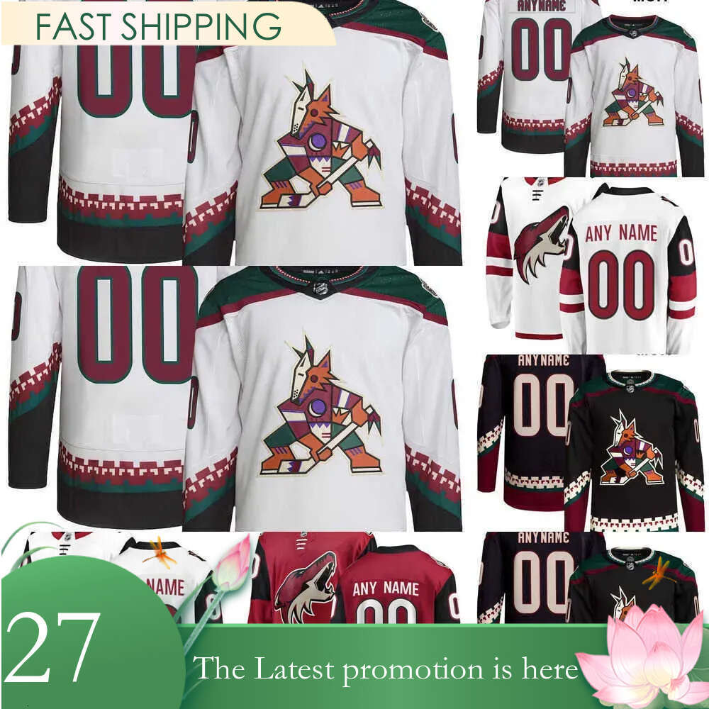 Custom Mens women youth Arizona Hockey Coyotes Jerseys 70 Karel Vejmelka 14 Shayne Gostisbehere 12 Ritchie 17 Nick Bjugstad 19 Troy Terry 90 J.J. Mo