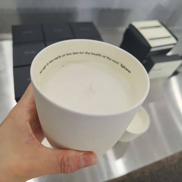 Candle 300g Ptolemy Aromatique Scent Candles Bougie Long Lasting Smell Woody Fragrance Wax Solid Incense High Quality Fast Delivery Z241219