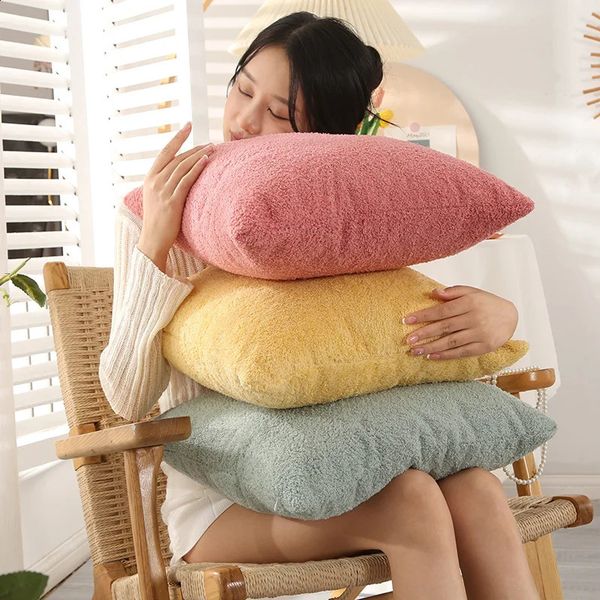 60X60CM Pure Color Plush Cushion Cover Soft and Comfortable Teddy Velvet Pillow Cover Decorative Large Size Backrest Pillowcase 250116