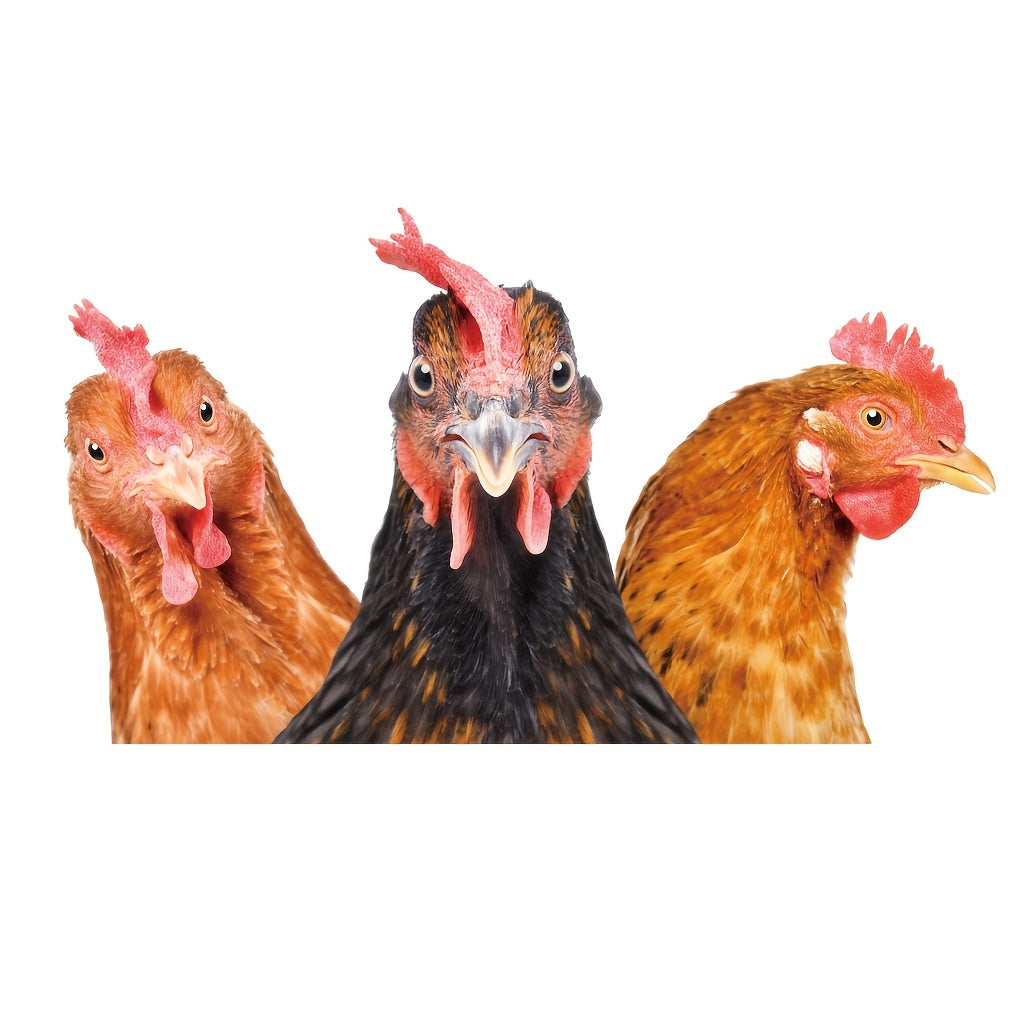 TEMU 1pc Contemporary Waterproof Pvc Decal - Reusable Self-adhesive Sticker For Home Decor, Washable Plastic Surface, Irregular Shape, No Electricity