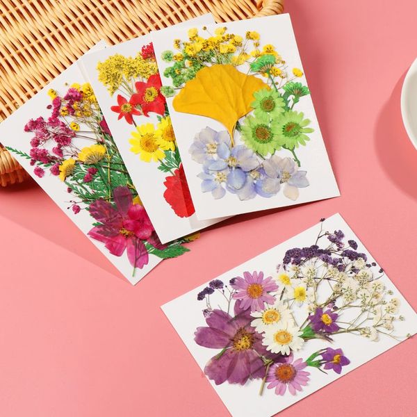 Real Natural Dried Flowers Pressed Flowers Resin Mold Fillings Flower for DIY Candle Resin Crafts Jewelry Nail Art Beauty Decal