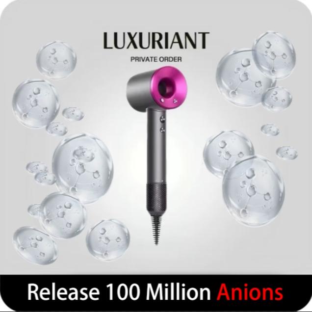 MuteHairdryer Designer Hair Dryers Hair Care Intelligence Electric Hair Drier Quick Drying Safety Ionic Profession Salon Hairdressing