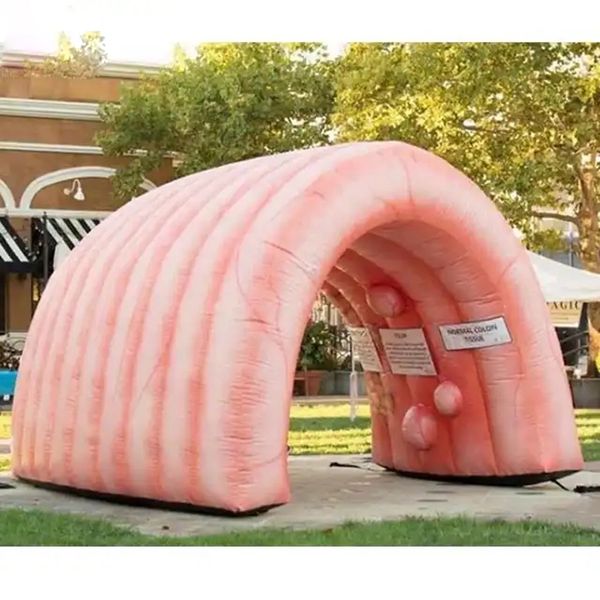 Wholesale High Quality Giant Inflatable Colon For Medical Teaching Use Custom Inflatable Intestine Organ Tunnel Tent