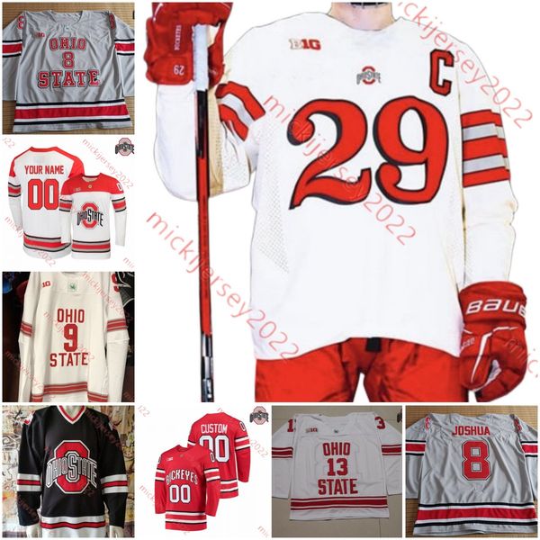 Custom Stitched Ohio State Buckeyes Hockey Jersey 14 Austin Pooley 40 Ronnie Hein 79 Carson Meyer 4 Layton Ahac 16 Quinn Preston 61 Grant Ga