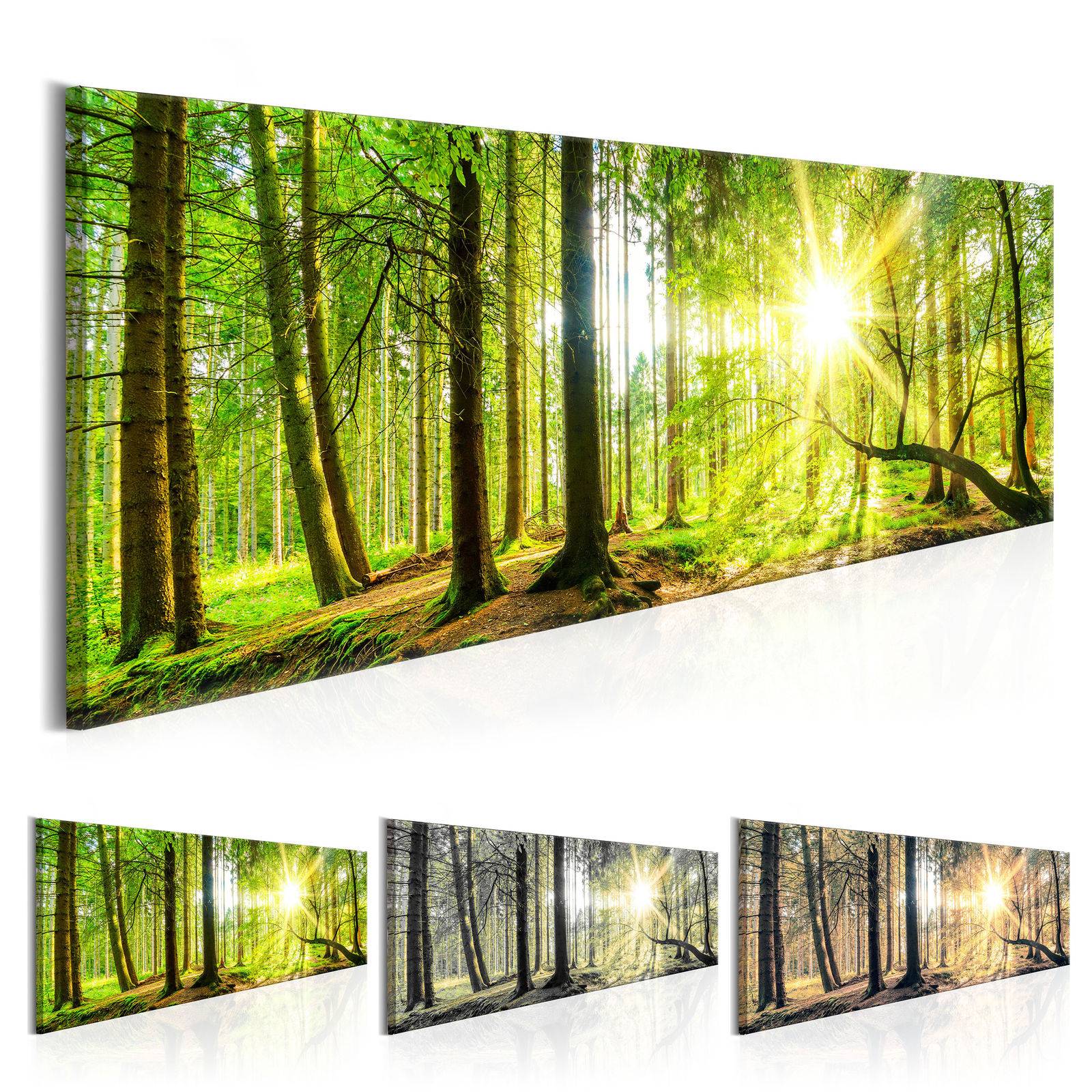 (NO Frame)Beautiful HD Modern Home Wall Decor Abstract Canvas Print Oil Painting Wall Art Picture House Decoration Posters