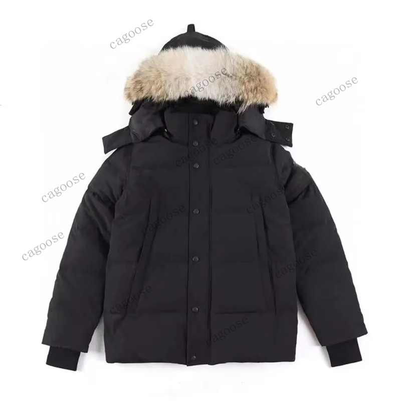 Winter Men Down Jackets Real Coyote Fur Designer Homme Puffer Outdoor Windbreaker Outerwear Hooded Fourrure Manteau ggdd gooses Coat Hiver Parka Dou