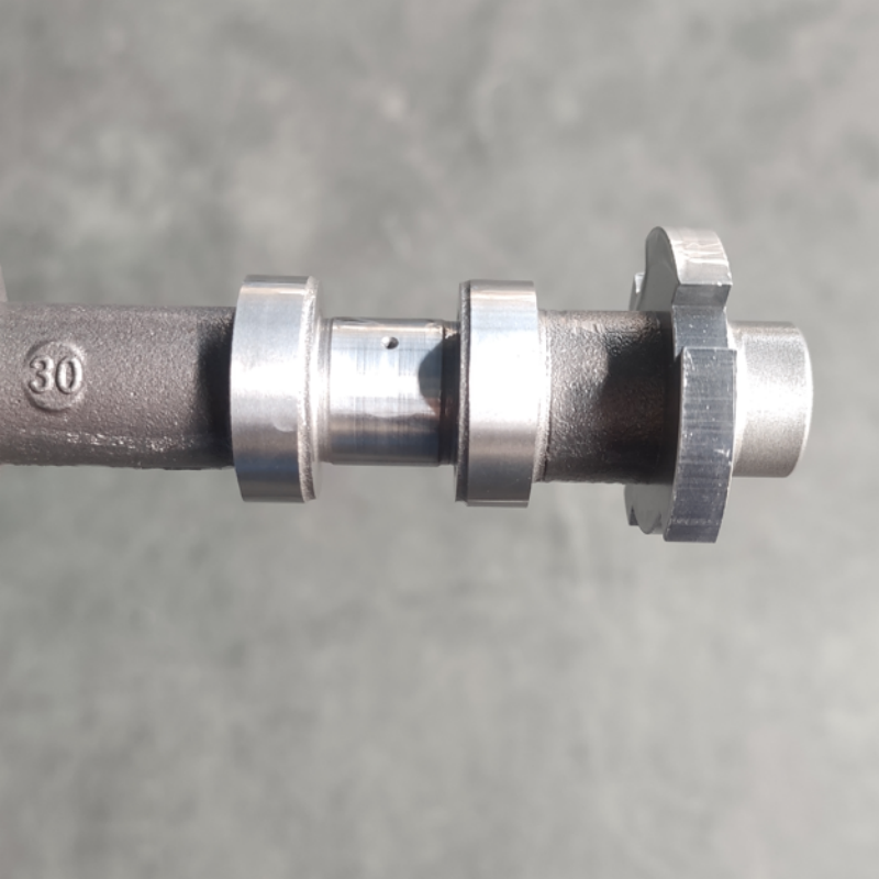 Durable Exhaust Camshaft Components - High-Quality Material Exhaust Camshaft Assembly for Engine Performance Enhancement