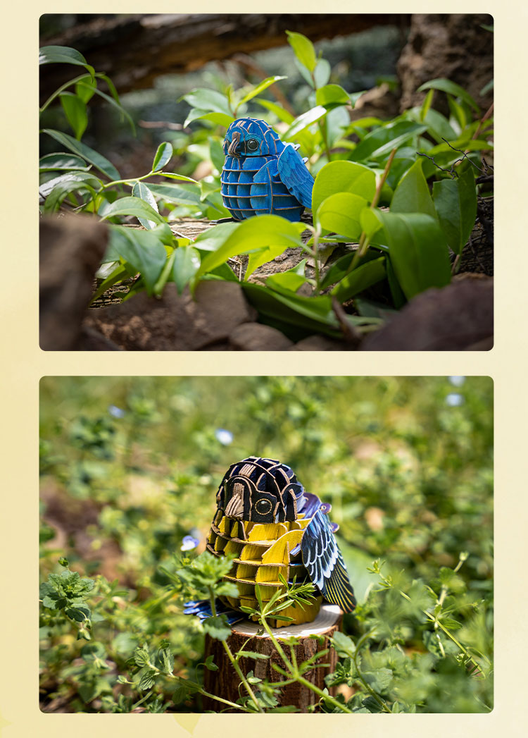 Realistic Birdsong 3D Jigsaw Puzzle - Educational Nature Crafting Game