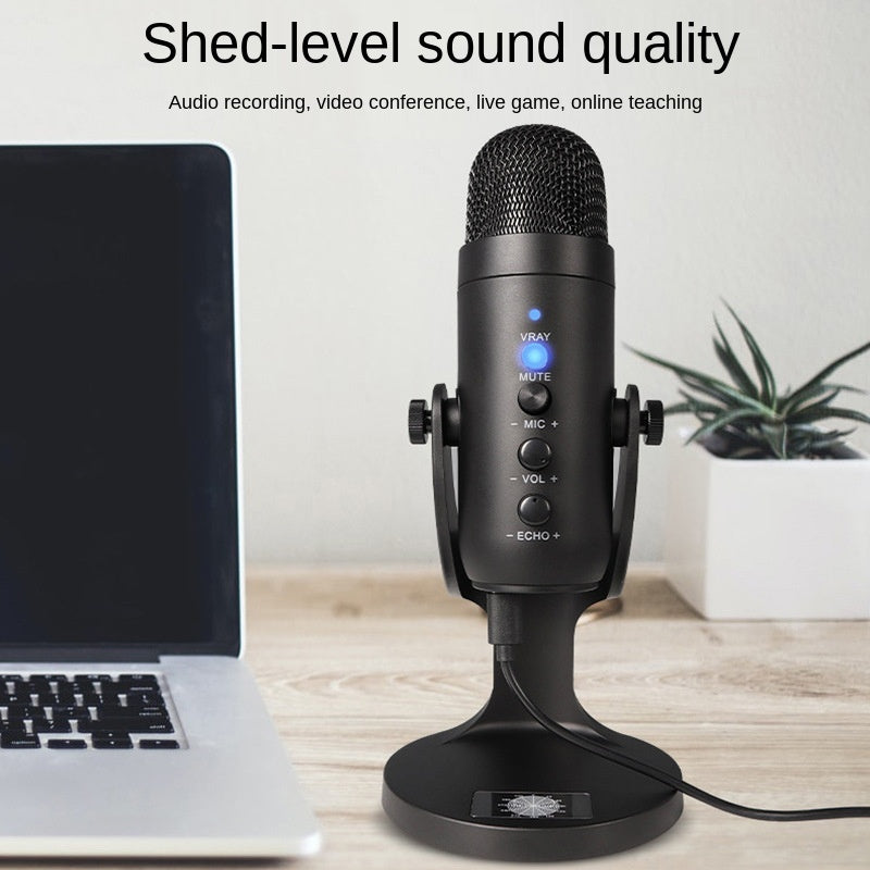 2021 Snowman USB Capacitor Microphone Computer Mobile Game Live K Song Recording Micphone Set Type Diaphragm Style Model Number