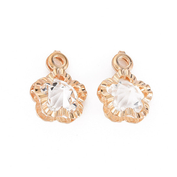 Placage de crémaillère breloques de fer écologiques