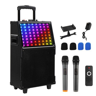 12" Karaoke Machine with 2 Wireless Microphones