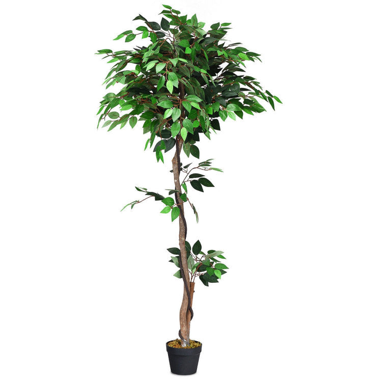 4 to 6-Foot Artificial Plants (4 Options) - 5.5-Foot Artificial Ficus
