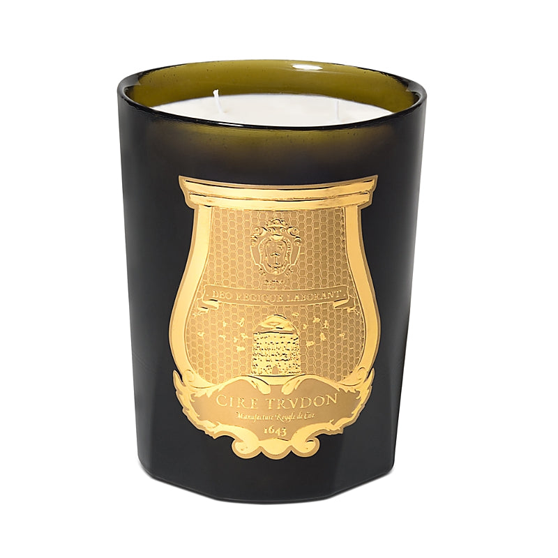 Trudon Ernesto Intermezzo Candle, Leather and Tobacco, 28 oz.