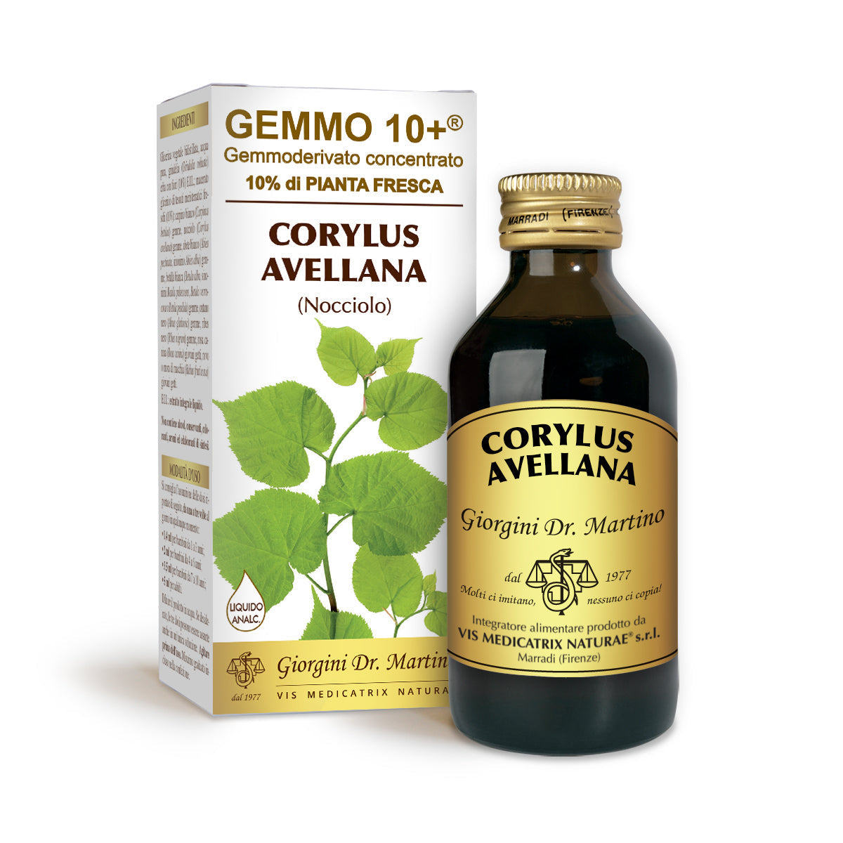 Dr Giorgini gemmo 10+ hazelnut 100 ml non-alcoholic liquid