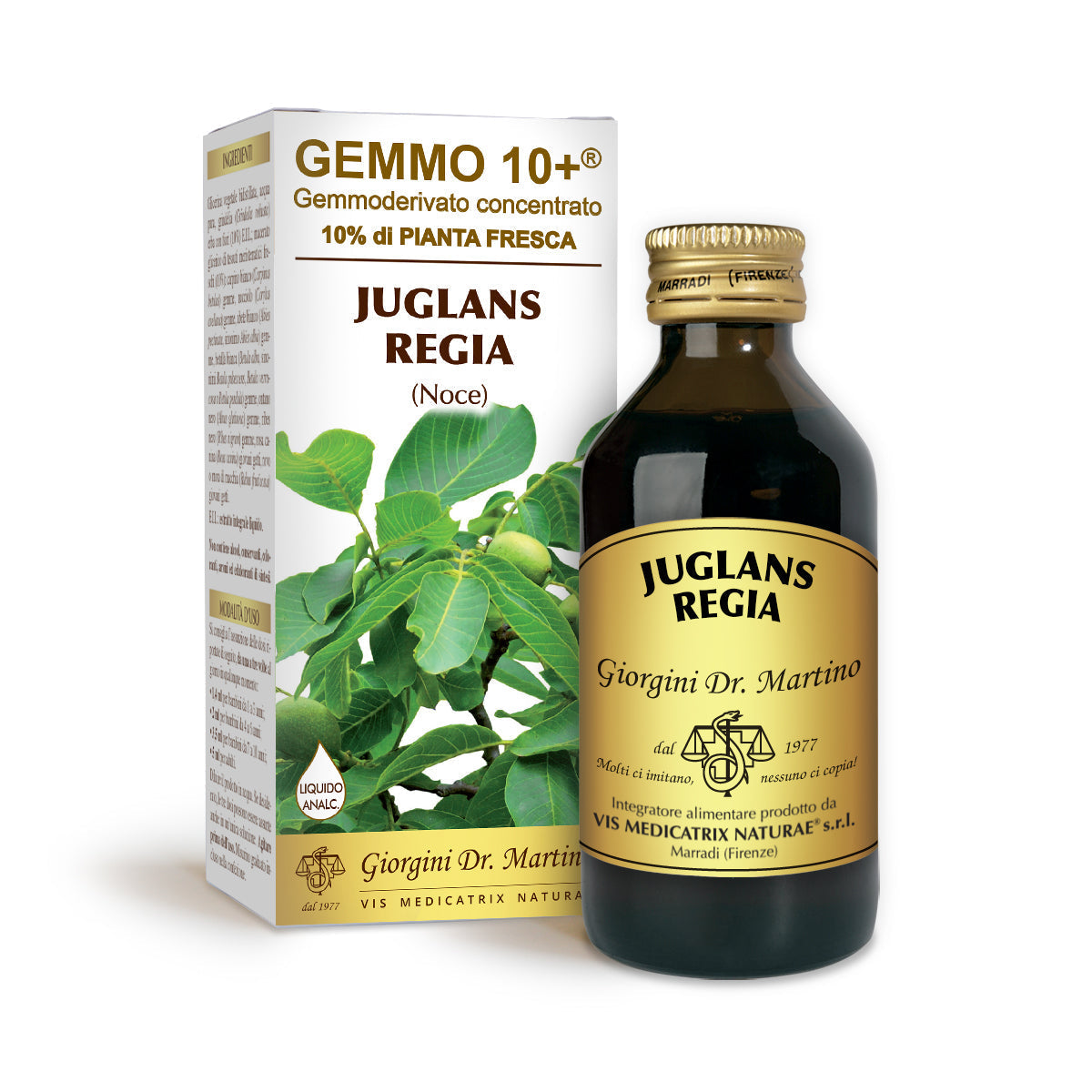 Dr Giorgini gemmo 10+ walnut 100 ml non-alcoholic liquid