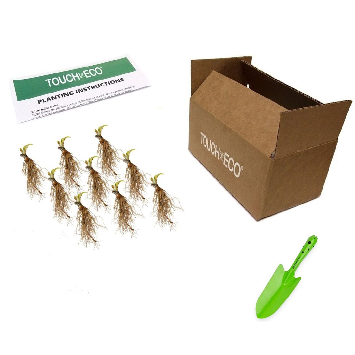 Touch Of ECO® 3 or 9 Bare Root Giant Hosta Plants - Giant Hosta 9 Bare Roots