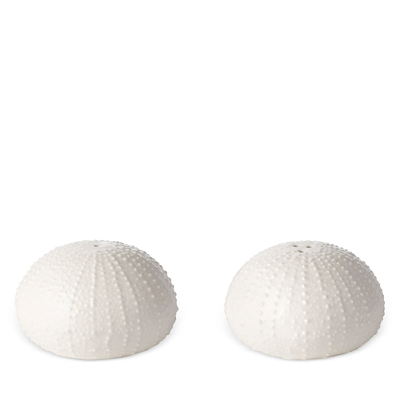 Aerin Sea Urchin Salt & Pepper Shakers, White