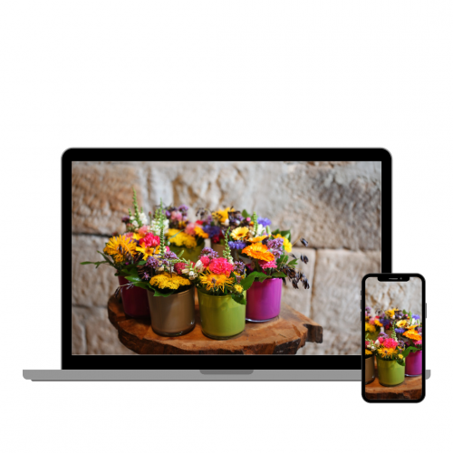 "1x1 Floristik - Querbeet für Einsteiger" | Member area and video courses