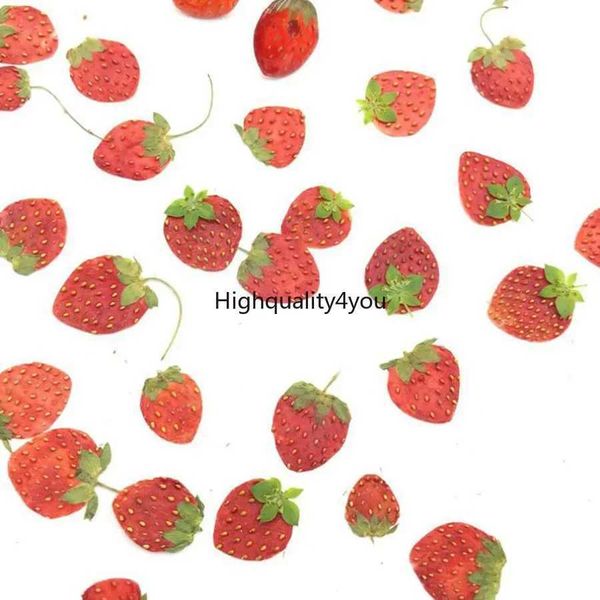 10pcs Dried Pressed Mini Fruit Strawberry Skin Slices Plant Herbarium For Jewelry Photo Frame Phone Case Bookmark Postcard DIY Y240823