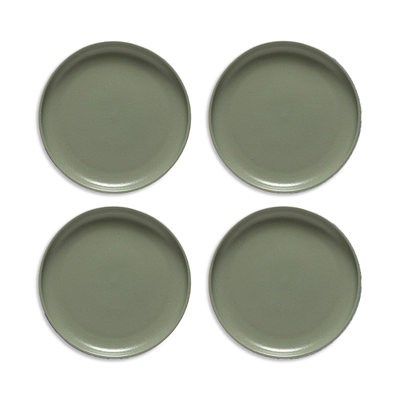 Costa Nova Pacifica Dinner Plates, Set of 4