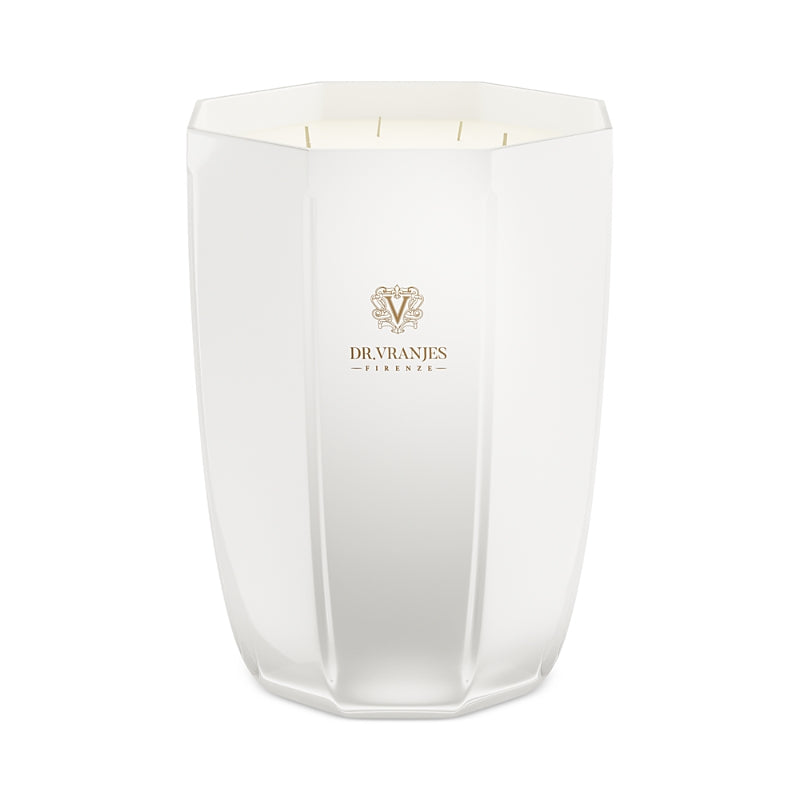 Dr. Vranjes Firenze Pearl Ginger Lime Candle, 105.8 oz.