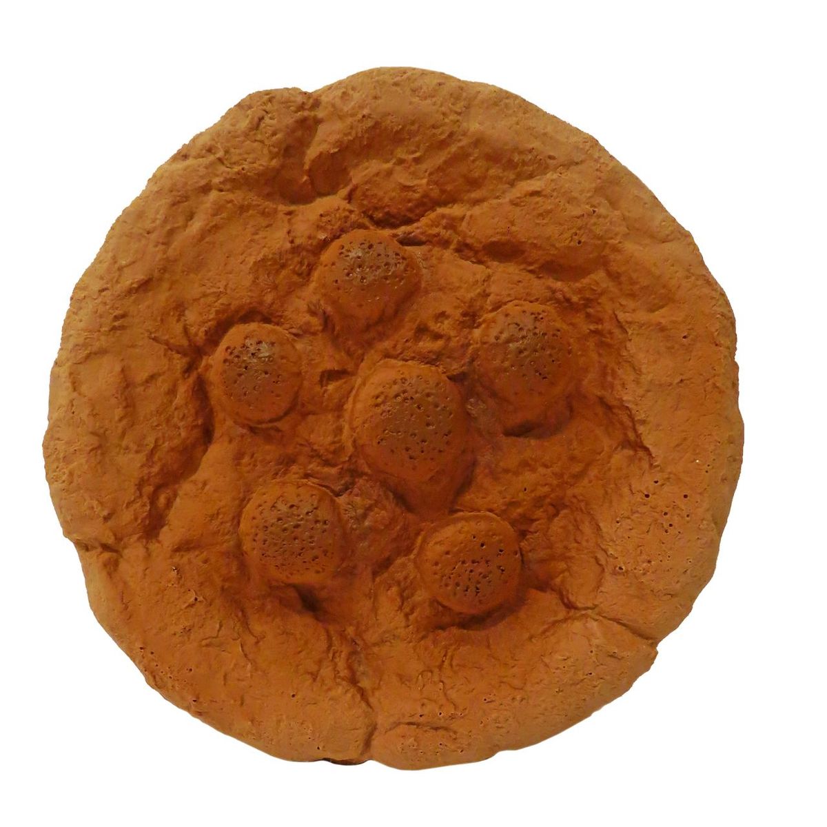 Scoochie Pet Premium Stuffed Latex Dog Chew Toys - Stuffed Latex Soft Cookie Dog Toy