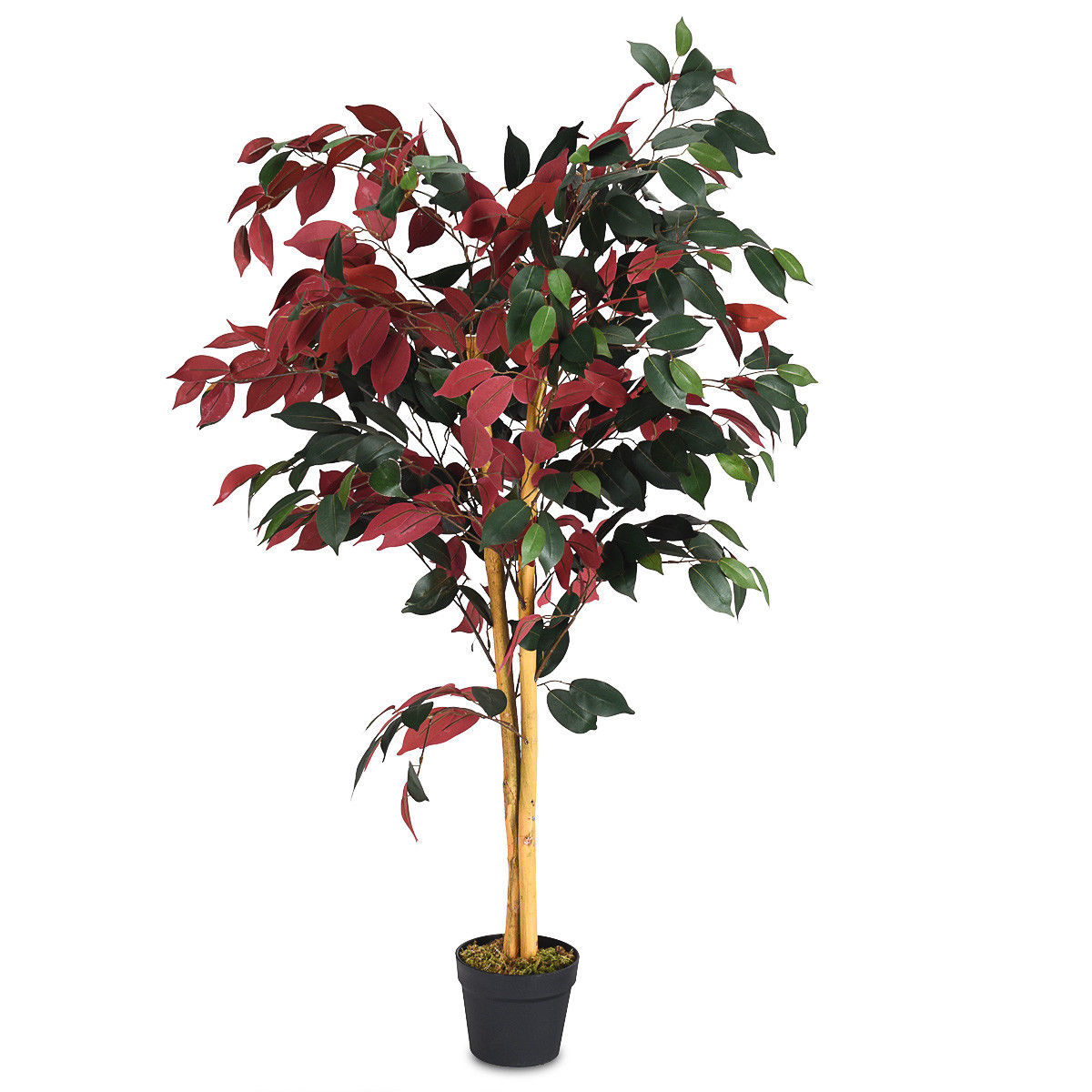 4 to 6-Foot Artificial Plants (4 Options) - 4-Foot Artificial Ficus - Red/Green
