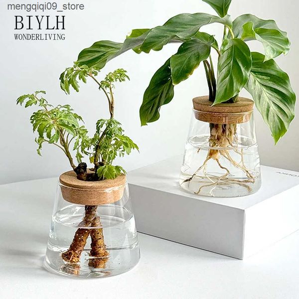 Garden Decorations Hydroponic Plants Glass Flower Pots Home Decoration Transparent Small Vase Plant Pots With Base Tray For Garden Accessori