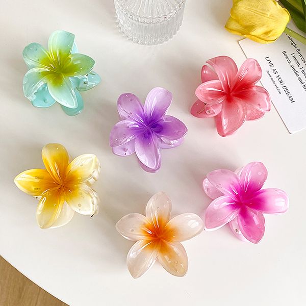 South Korea net red hair clip Instagram explosive net red egg flower fairy beauty flower mori grab clip temperament shark clip accessories
