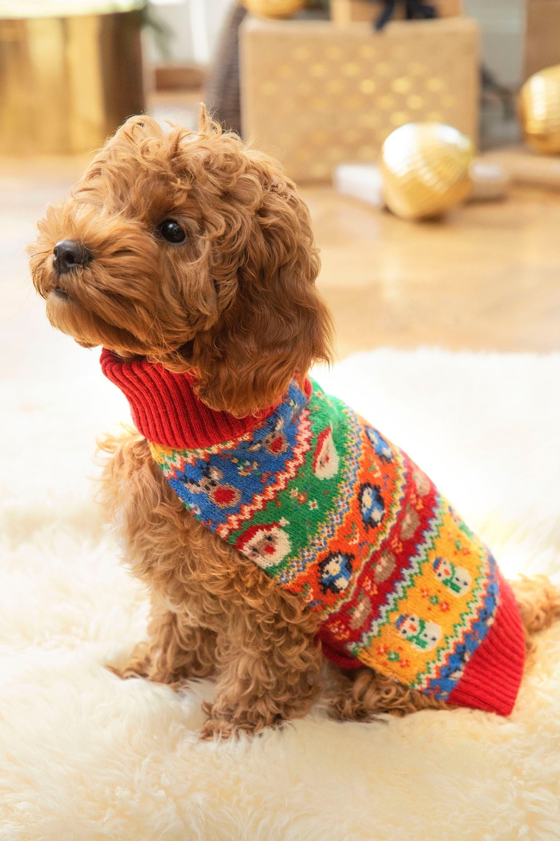 Multi Christmas Fair Isle Pets Jumper S Matron Inn
