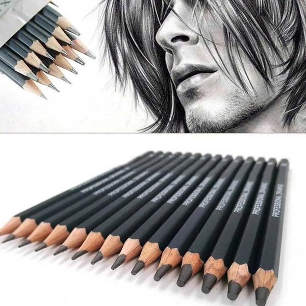 Professional 14PCS 12B 10B 8B 7B 6B 5B 4B 3B 2B Wooden Pencils Drawing Set Grapgite Sketch Pencil School Supplies 241120