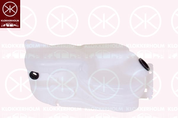 Washer Fluid Tank, window cleaning KLOKKERHOLM 16173220