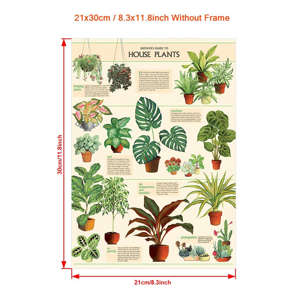 TEMU 1pc Plants Canvas Wall Art - , Vertical Landscape Theme, Green Plant Identification Poster For Home Decor