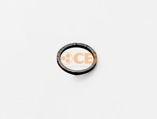 Washer C.E.I. 169.562